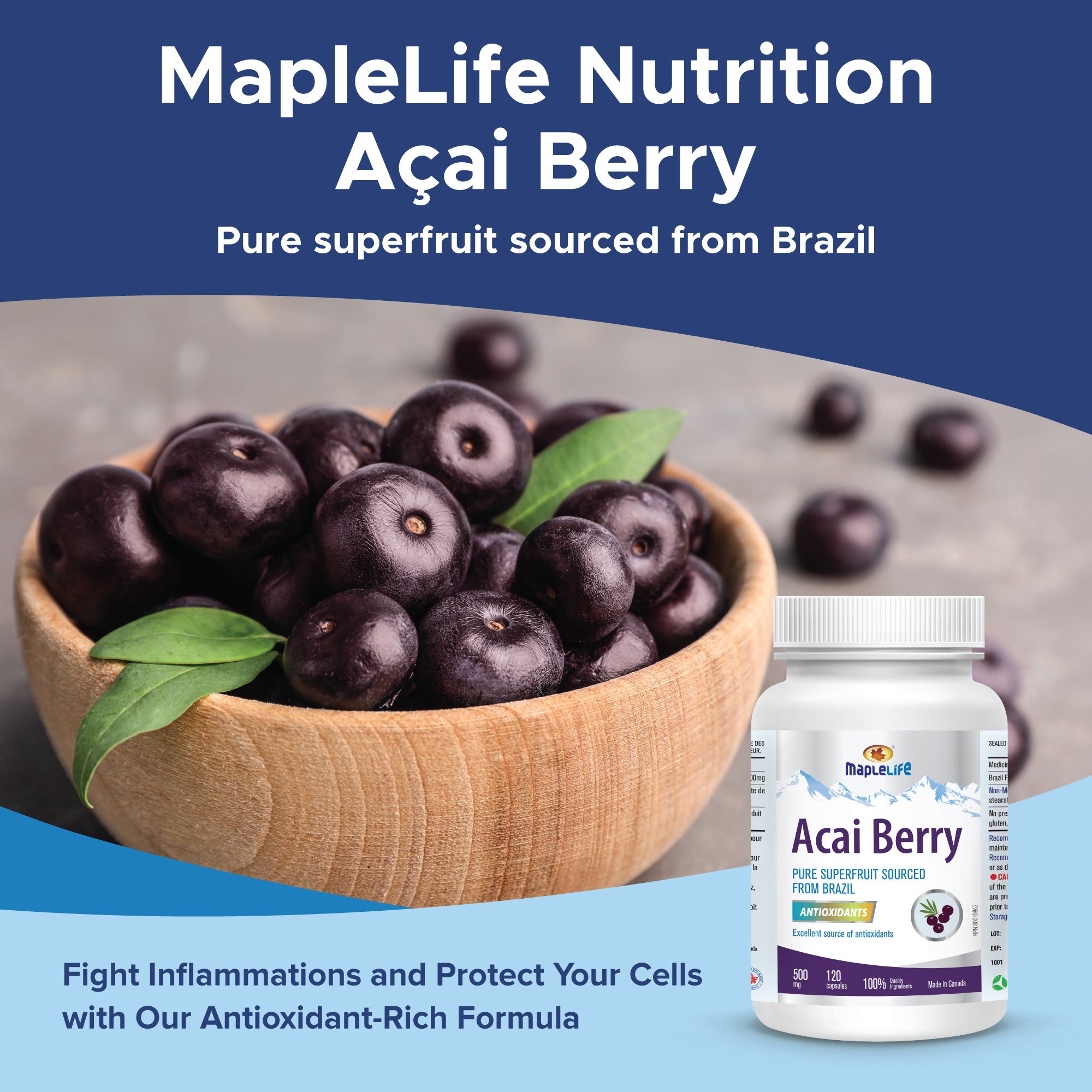 Acai Berry 500mg 120 Capsules