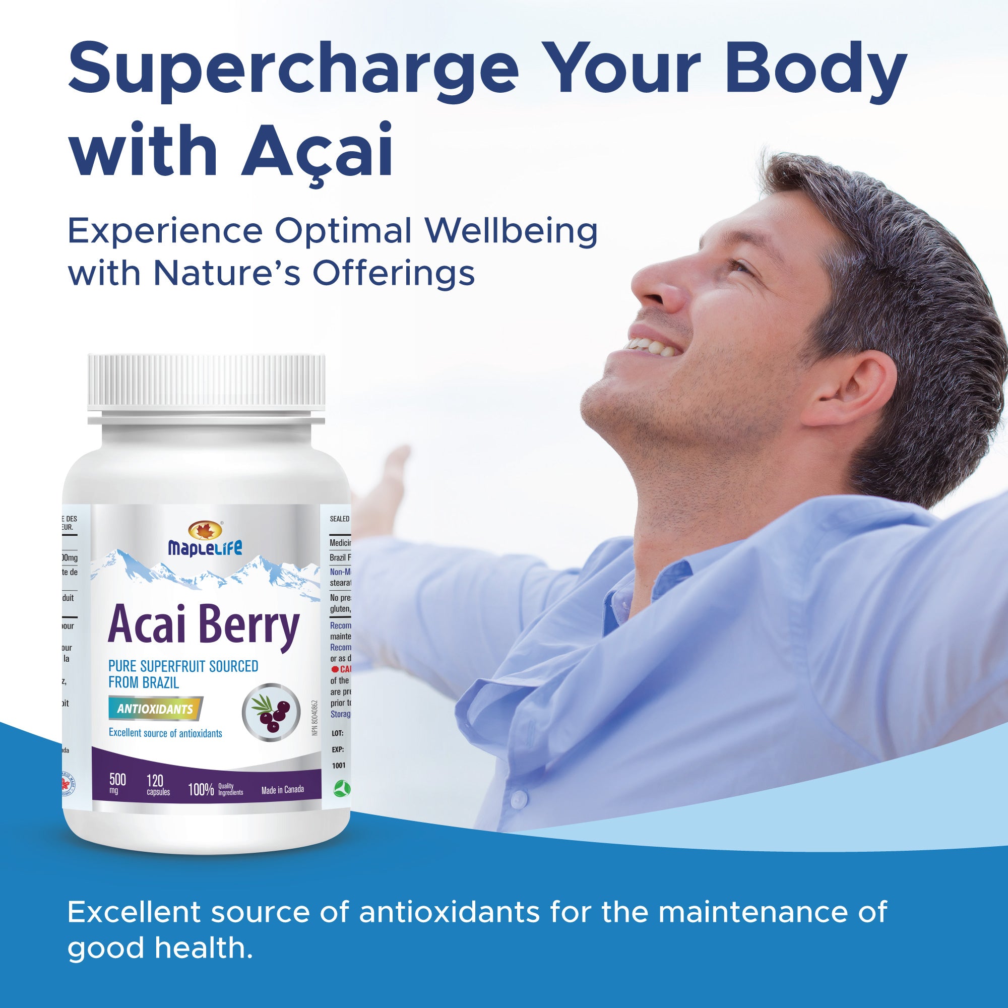 Acai Berry 500mg 120 Capsules