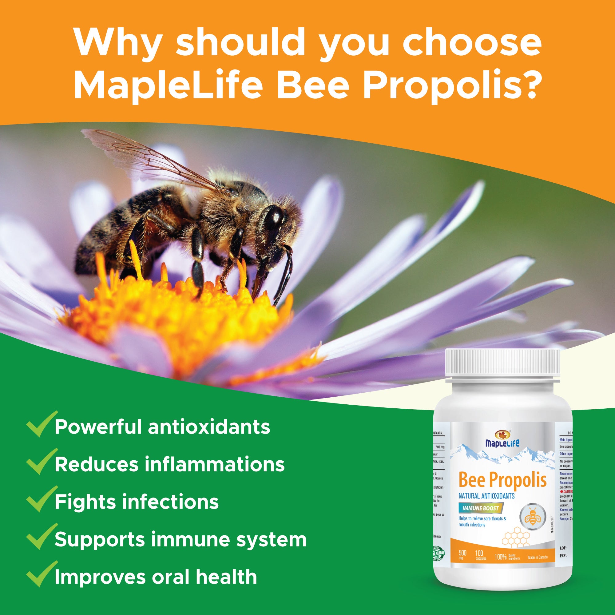 Bee Propolis 500mg 100 Capsules
