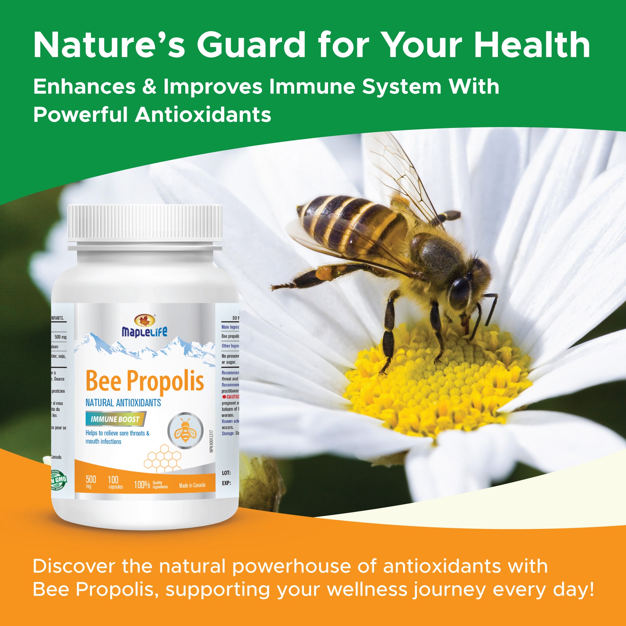 Bee Propolis 500mg 100 Capsules