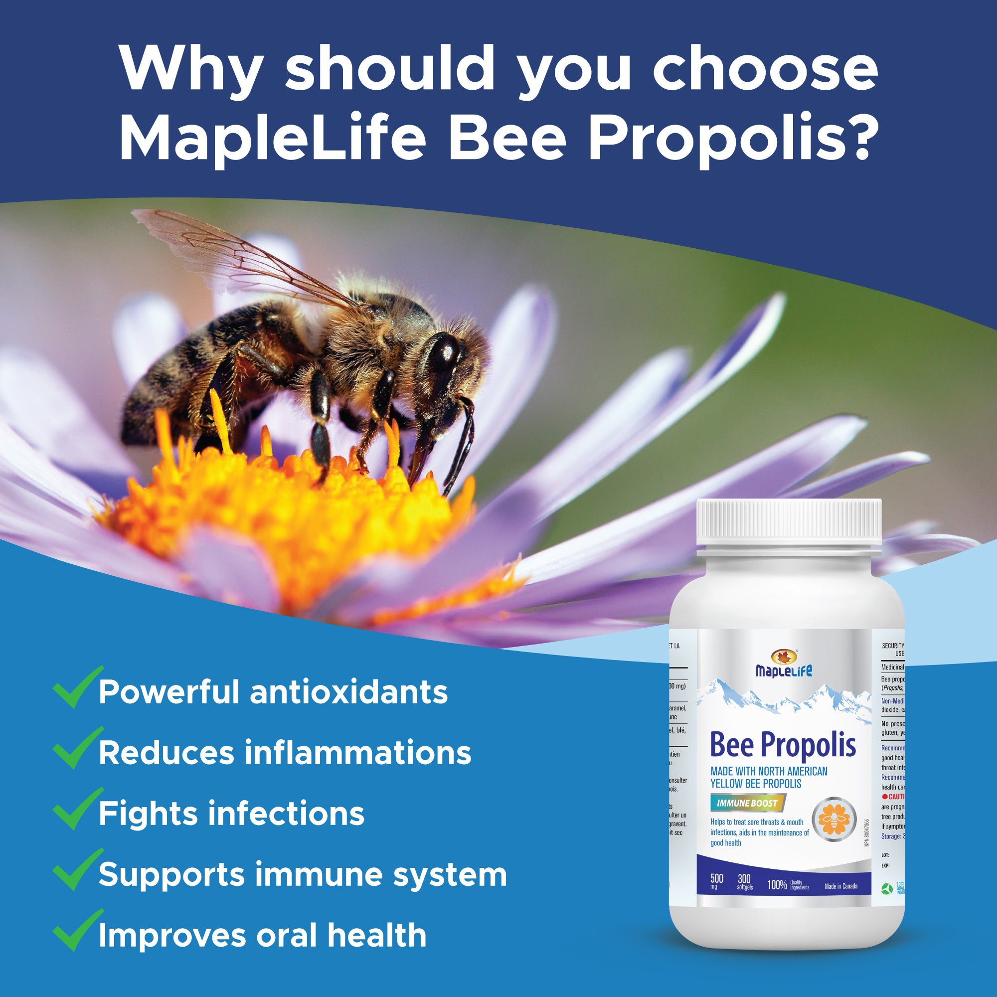 Bee Propolis 500mg 300 Softgels