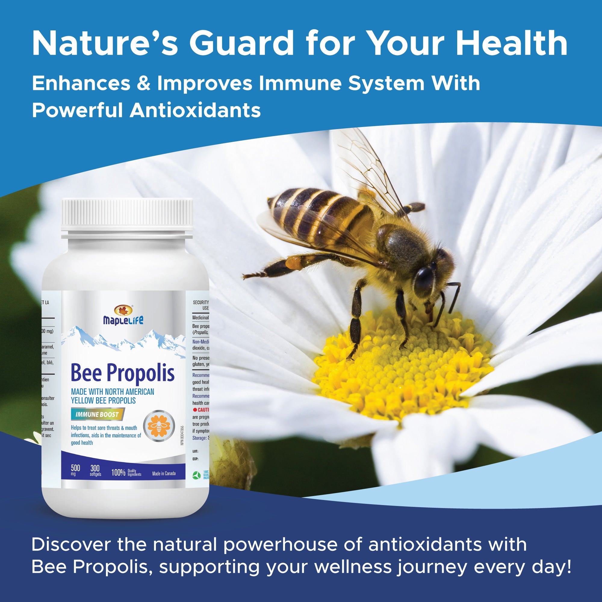 Bee Propolis 500mg 300 Softgels