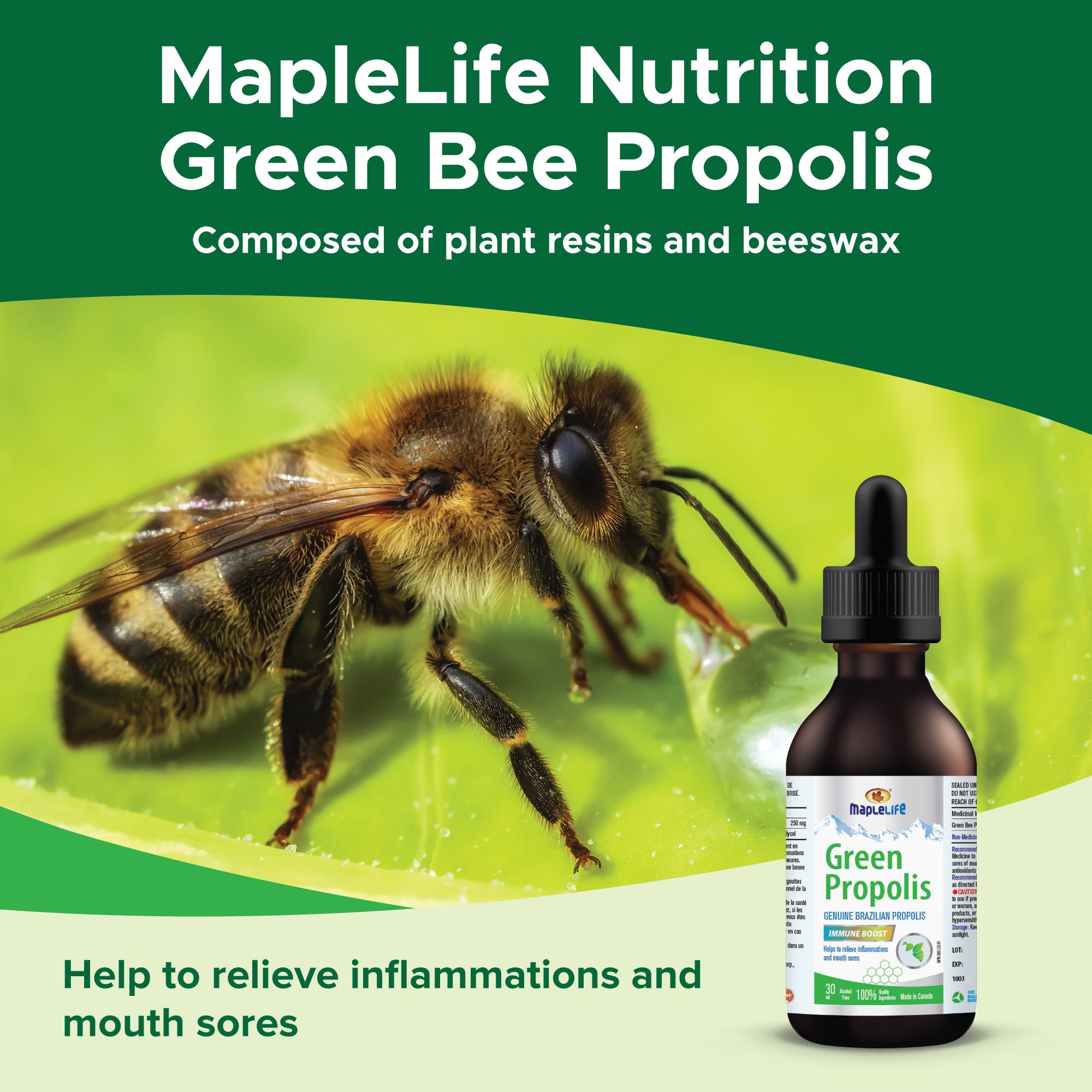 Brazil Green Bee Propolis 30ml