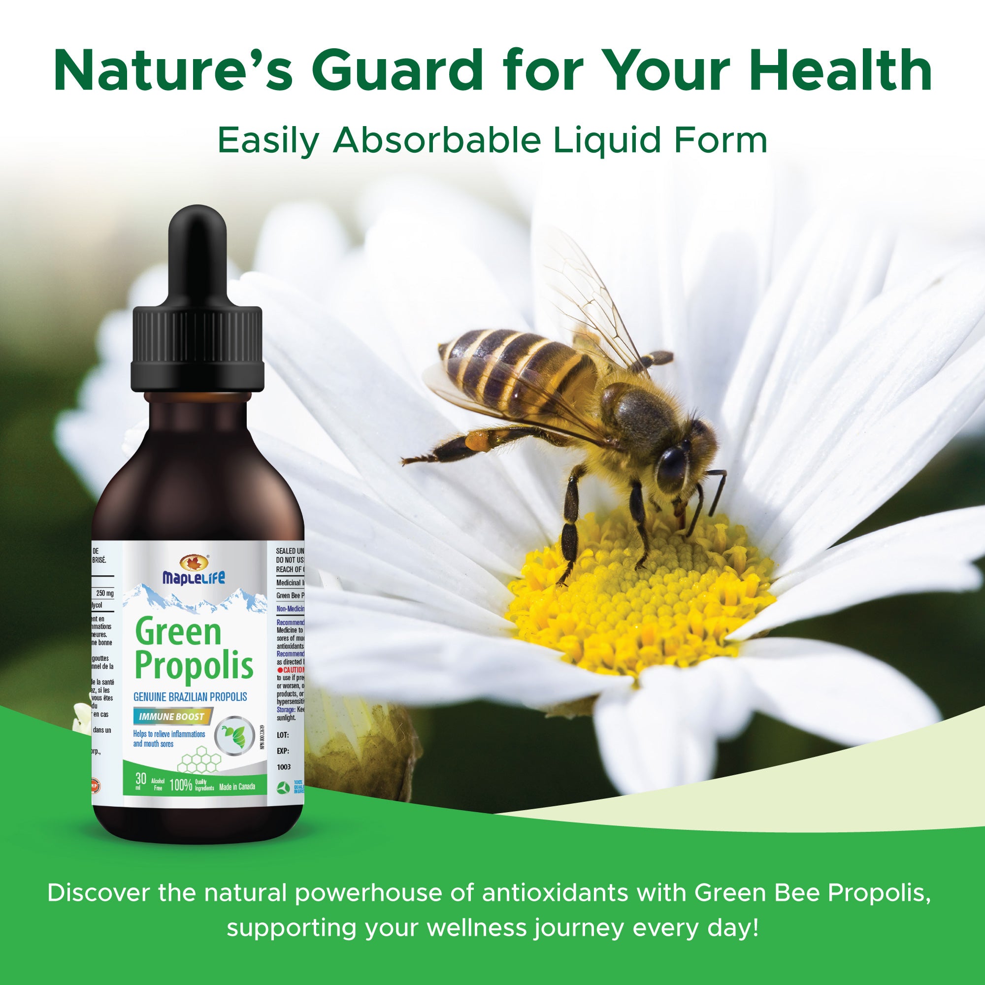 Brazil Green Bee Propolis 30ml