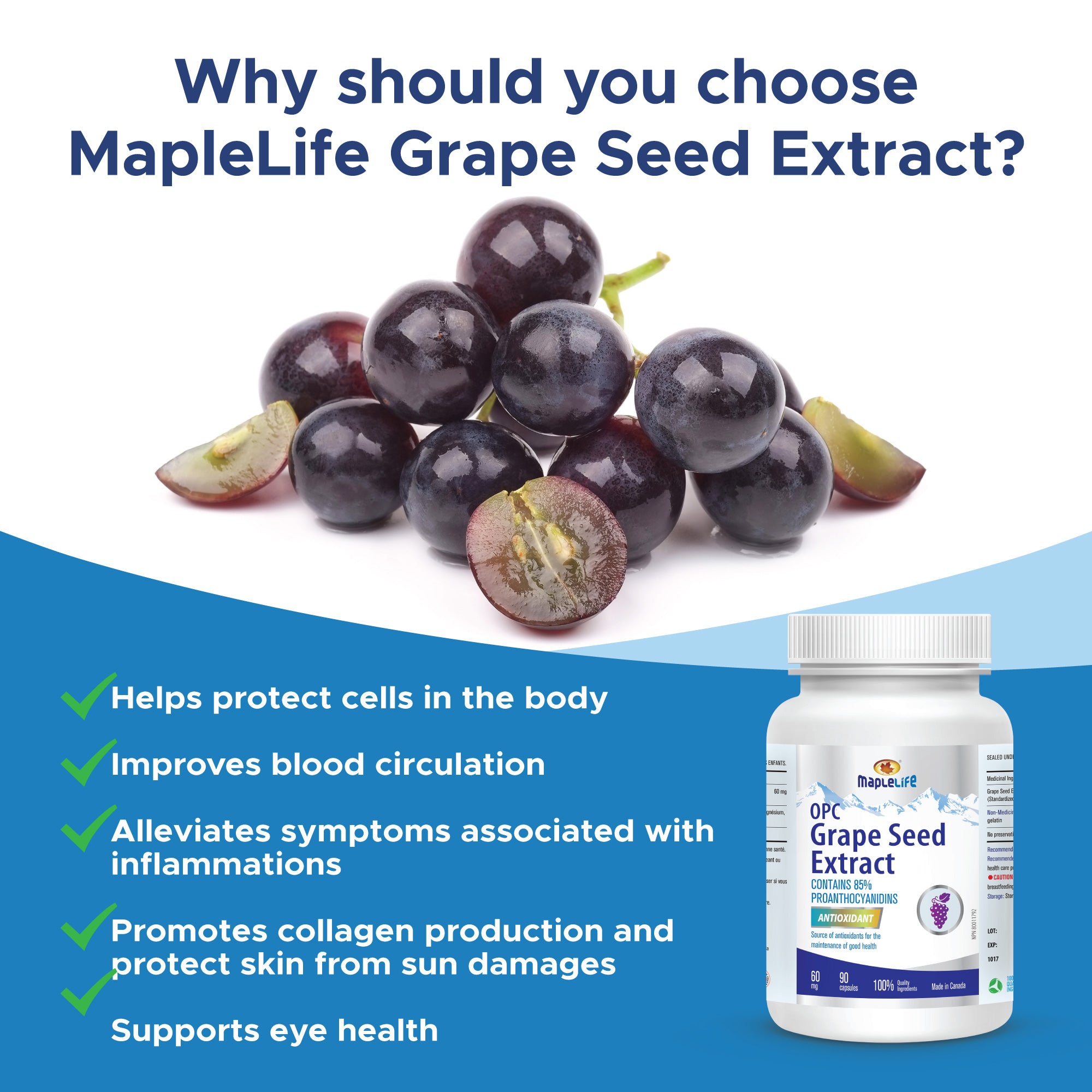 Grape Seed 60mg 90 Capsules