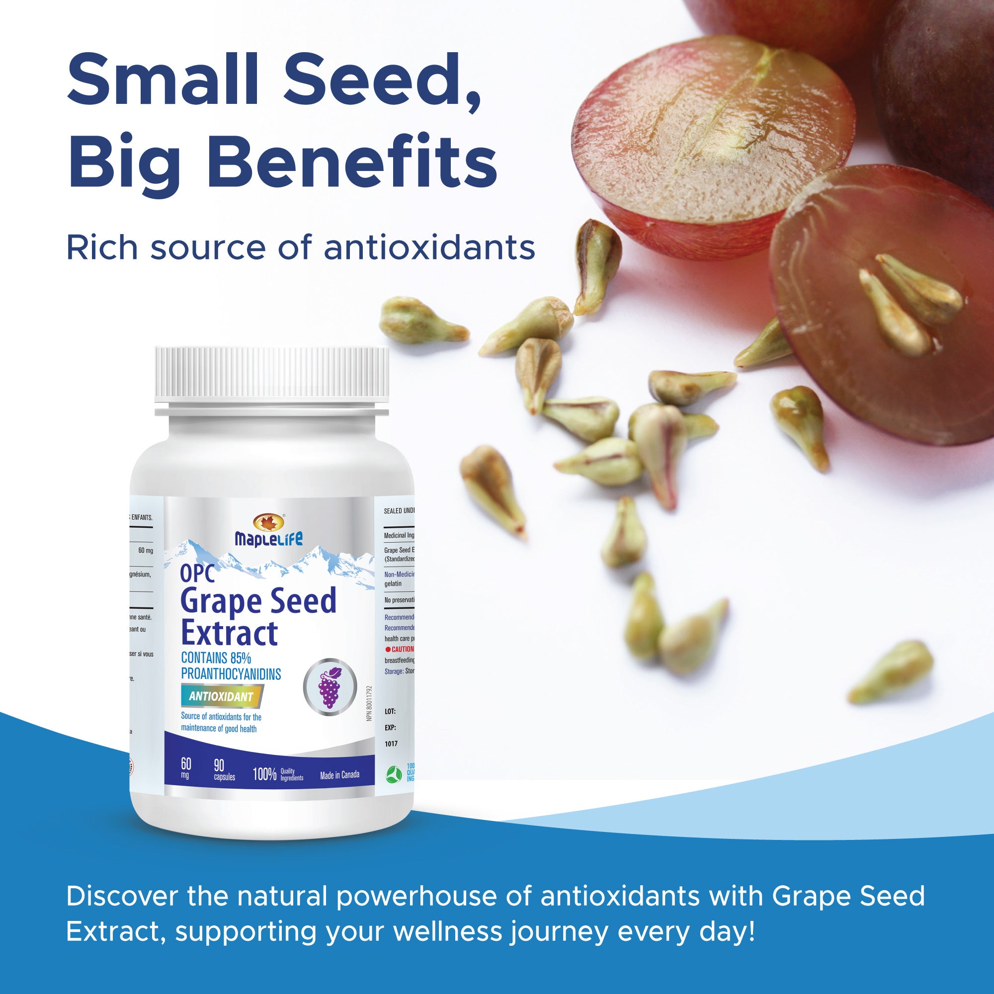 Grape Seed 60mg 90 Capsules