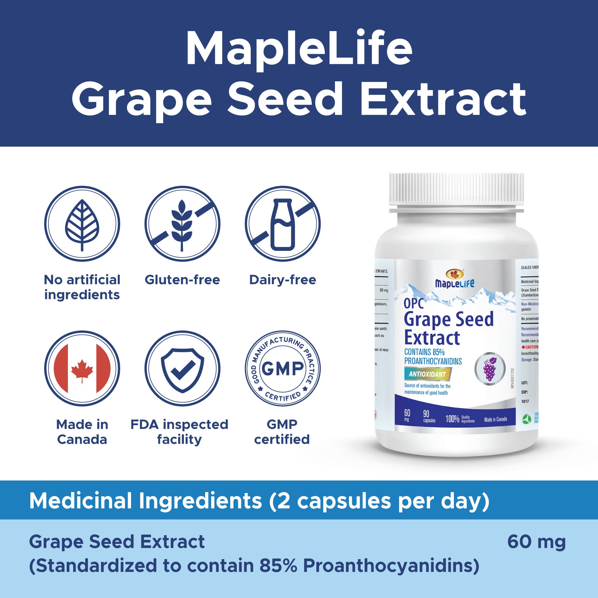 Grape Seed 60mg 90 Capsules