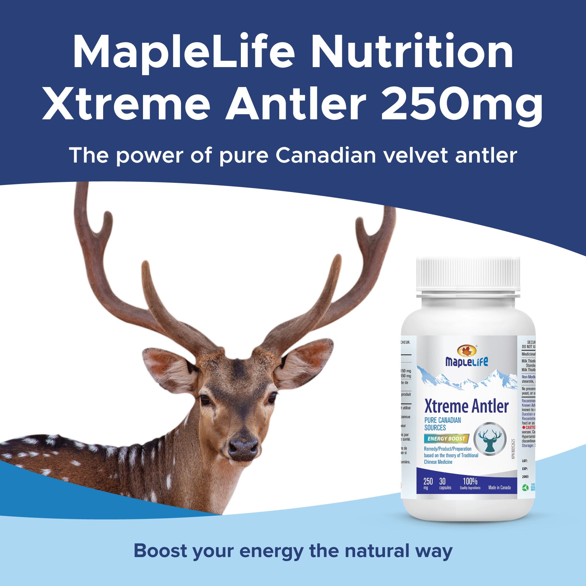 Xtreme Antler 250 mg 30 Capsules