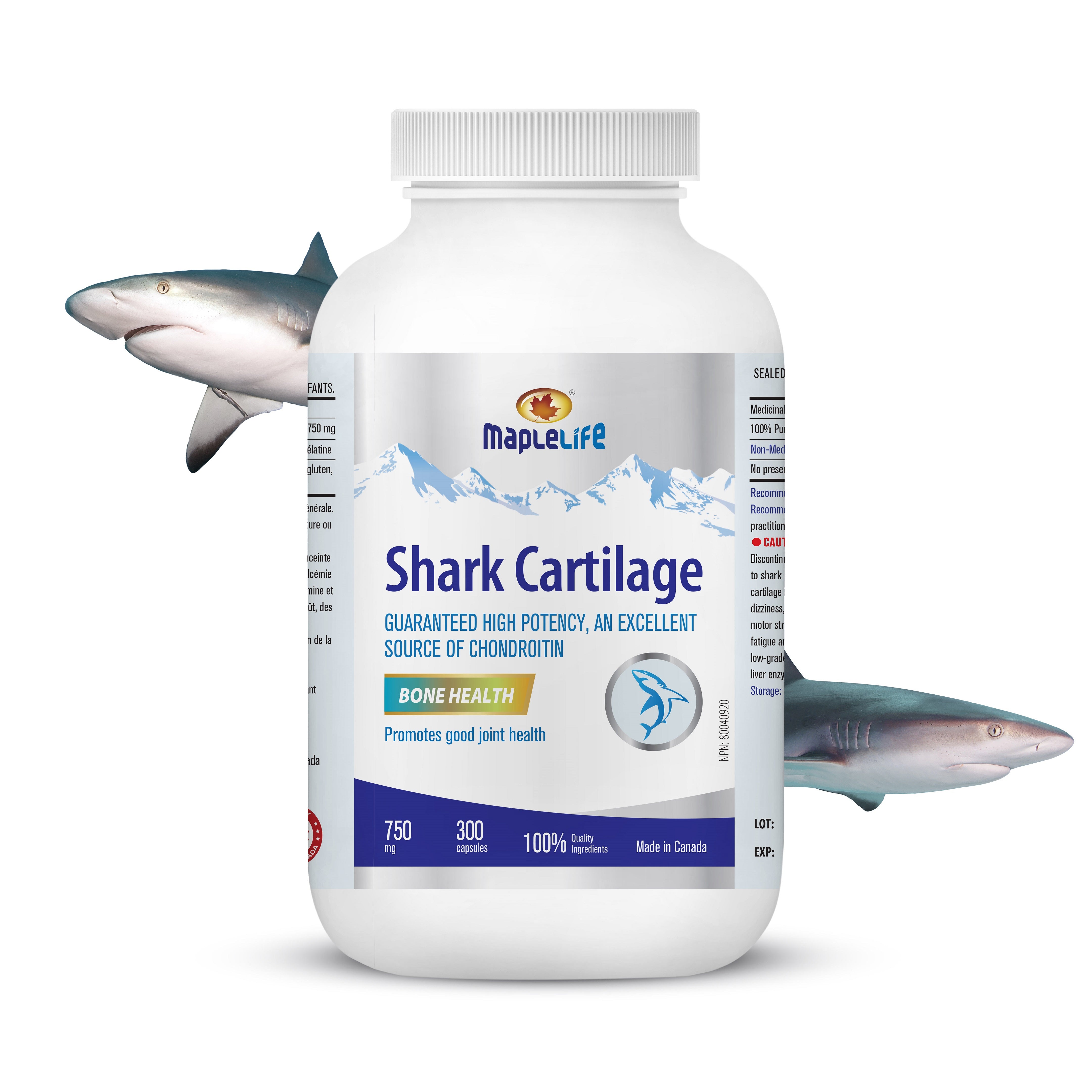 Shark Cartilage 750mg 300 Capsules