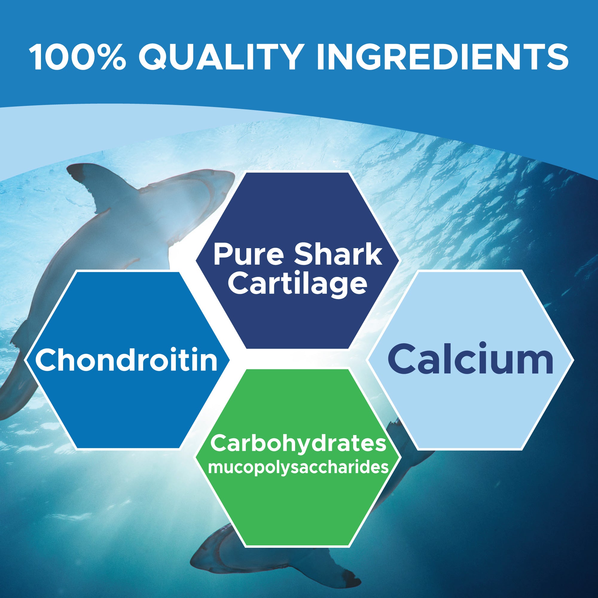 Shark Cartilage 750mg 300 Capsules