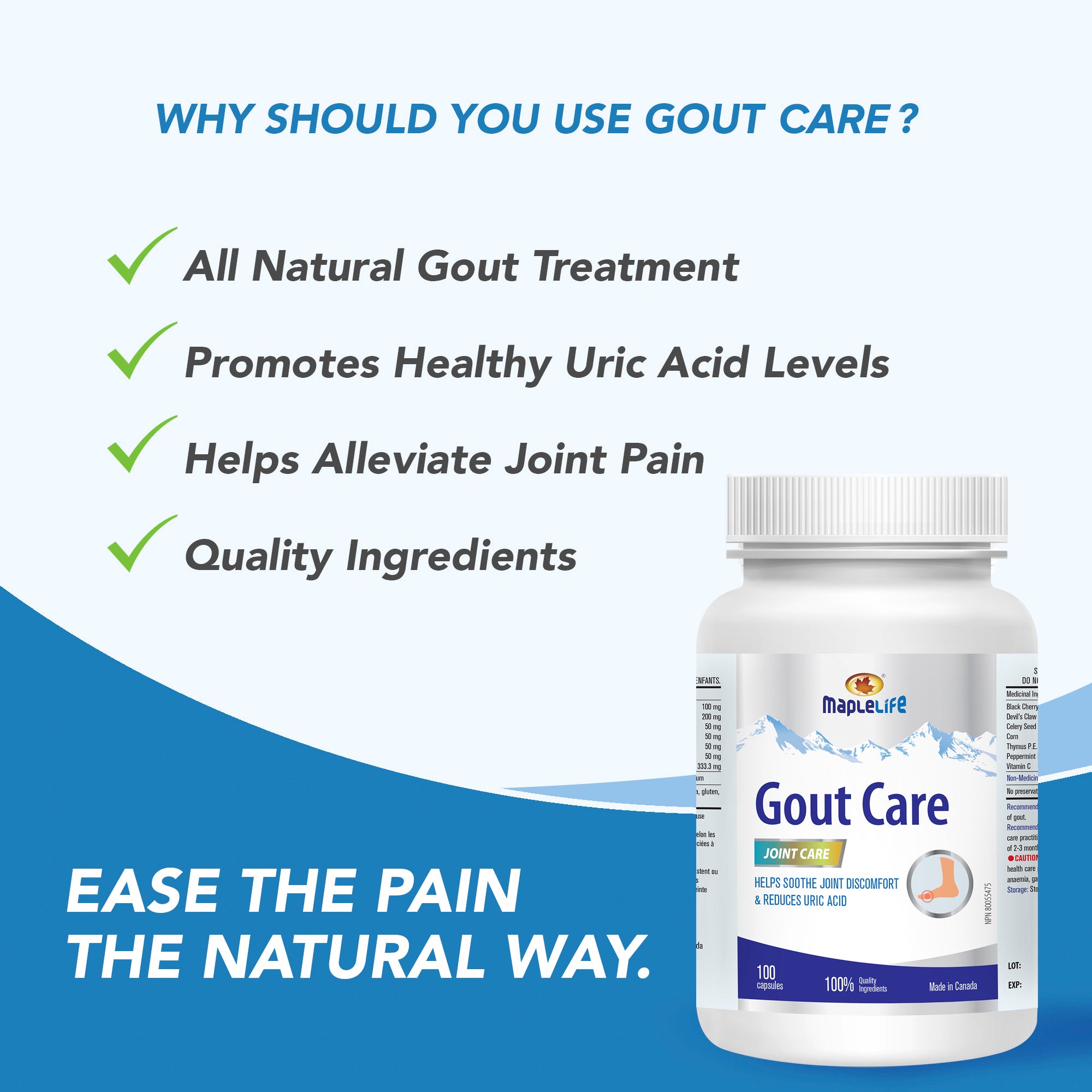 Gout Care 100 Capsules