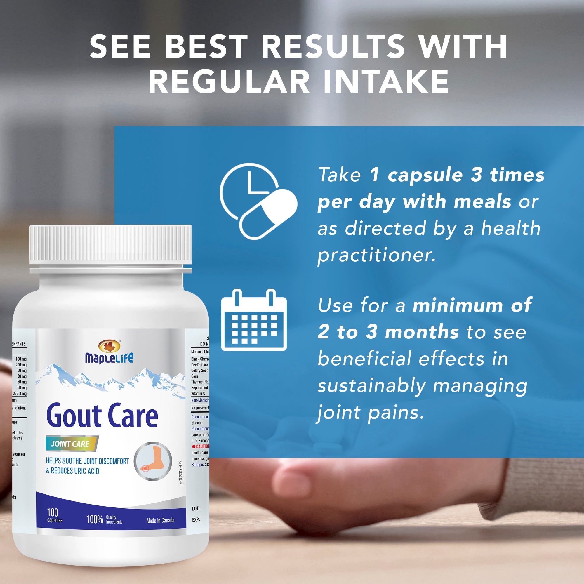 Gout Care 100 Capsules